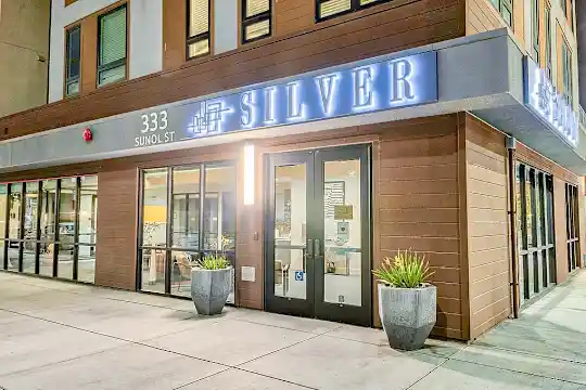 Silver - San Jose, CA - Photo 29