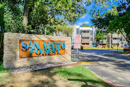 San Mateo Forest - Dallas, TX - Photo 33