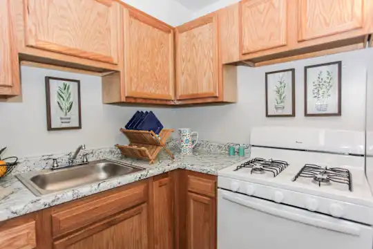 Lothian & Oakridge Apartments - Baltimore, MD - Photo 3