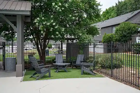 Aurora - Charlotte, NC - Photo 35