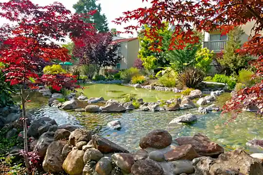 Spring Creek Apartments - Santa Clara, CA - Photo 14