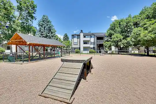 Cottonwood Creek - Littleton, CO - Photo 25