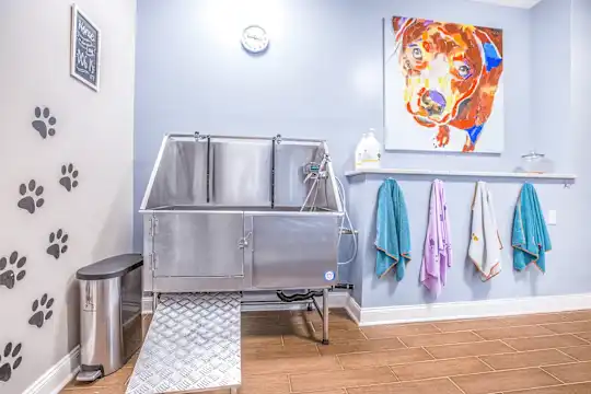 Elan at Mallard Creek Apartment Homes - Charlotte, NC - Photo 48