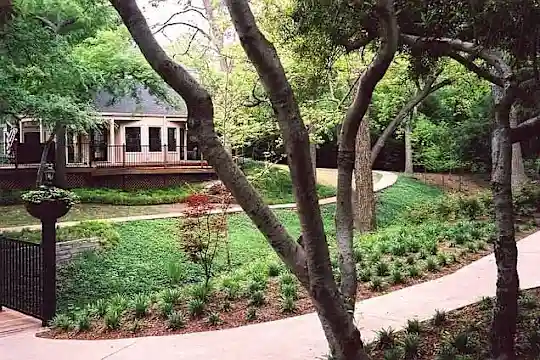 Oaks White Rock - Dallas, TX - Photo 10