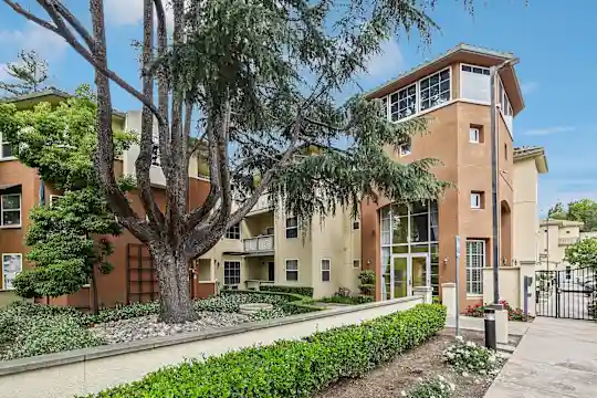 Gadberry Court - San Jose, CA - Photo 16