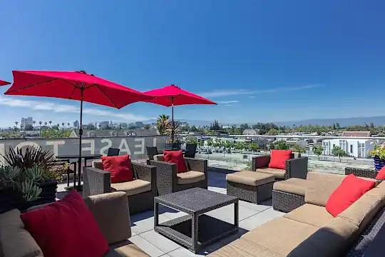 Mio - San Jose, CA - Photo 17