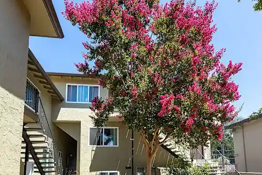 2080 Fruitdale Ave - San Jose, CA - Photo 13