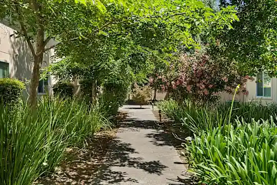 Plum Orchard Apartments - San Jose, CA - Photo 28