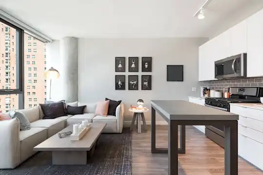 Aurelien - Chicago, IL - Photo 39
