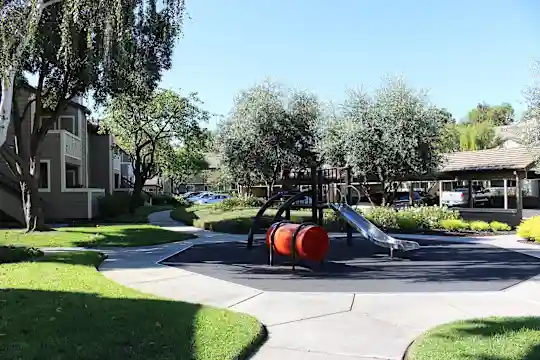 Amberwood - San Jose, CA - Photo 10