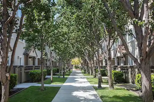 La Terraza - San Jose, CA - Photo 3