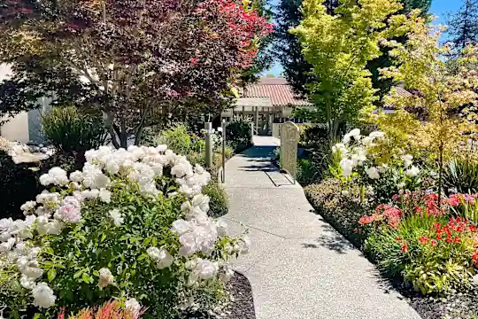 Spring Creek Apartments - Santa Clara, CA - Photo 3