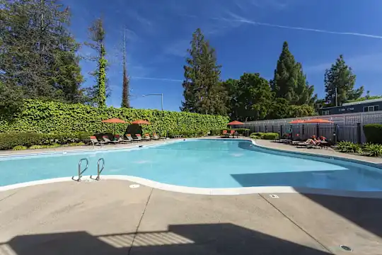 The Parc at Pruneyard - Campbell, CA - Photo 4