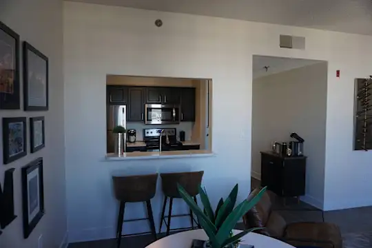The Peabody Collection Apartments - Memphis, TN - Photo 6