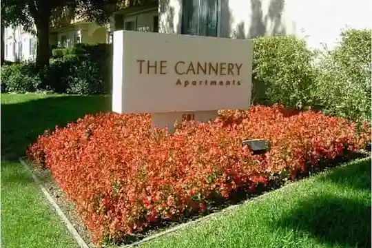 Cannery Apartments - Campbell, CA - Photo 1