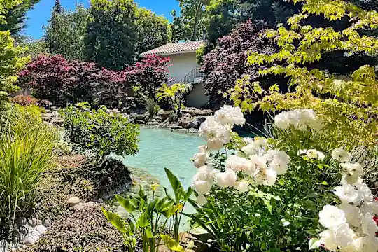 Spring Creek Apartments - Santa Clara, CA - Photo 5