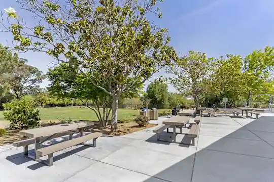 Parkside Terrace - San Jose, CA - Photo 19