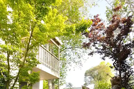 Spring Creek Apartments - Santa Clara, CA - Photo 19