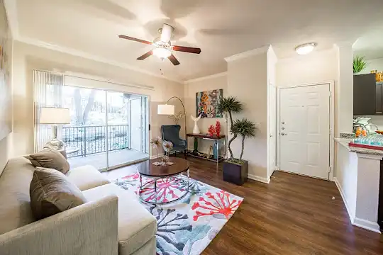 Nolina Flats - Austin, TX - Photo 9
