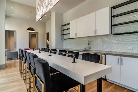 Piedmont House - Atlanta, GA - Photo 32