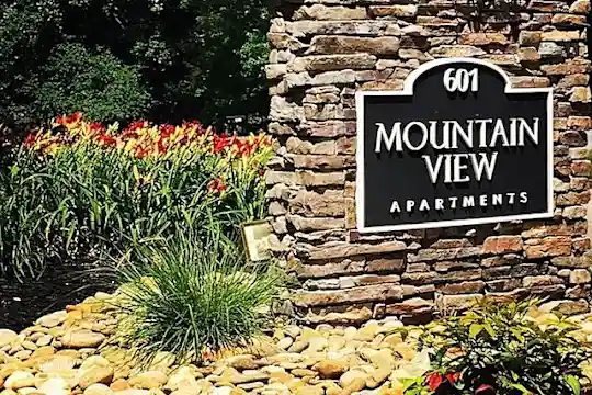 Mountain View - Knoxville, TN - Photo 5