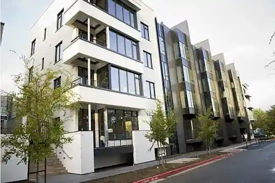 Levare - San Jose, CA - Photo 8