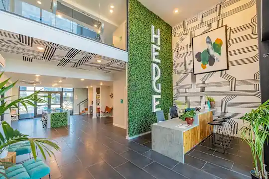 The Hedge Apartments - Austin, TX - Photo 4