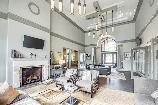 Nolina Flats - Austin, TX - Photo 23