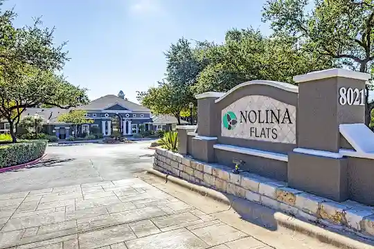 Nolina Flats - Austin, TX - Photo 7