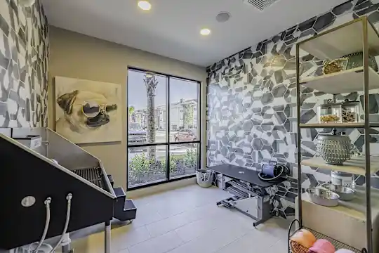 Forena Luxury Living - Jacksonville, FL - Photo 20