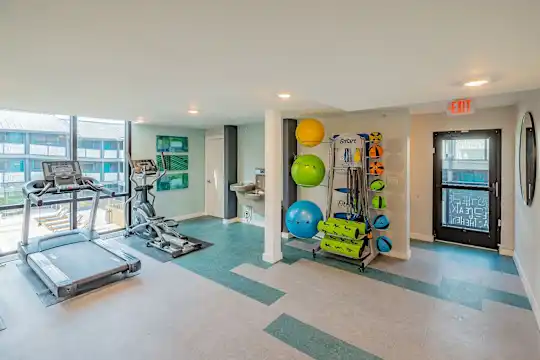 The Hedge Apartments - Austin, TX - Photo 7