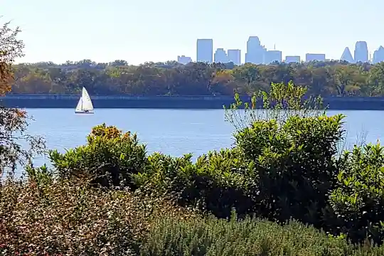 Windsor on White Rock Lake - Dallas, TX - Photo 9