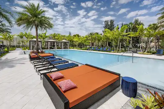 SEX AGENCY Hialeah