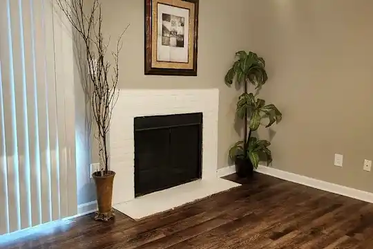 Driscoll Place - Houston, TX - Photo 17