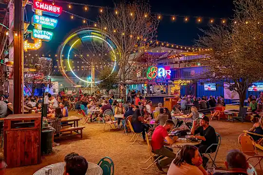 Tinsley on the Park - Houston, TX - Photo 56