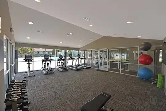 Element at Cedar Bluff - Knoxville, TN - Photo 33