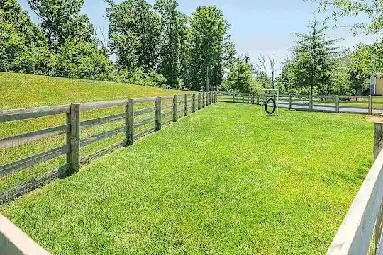 Amberleigh Bluff - Knoxville, TN - Photo 14