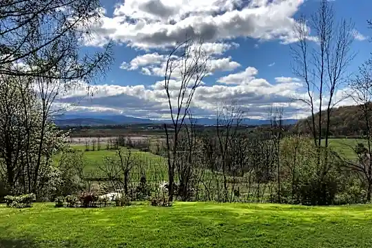 377 Satterly Rd - Ferrisburgh, VT - Photo 7