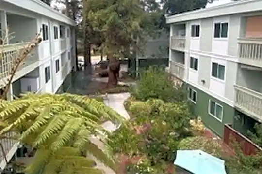 250 Budd Ave unit Corinthian House - Campbell, CA - Photo 3