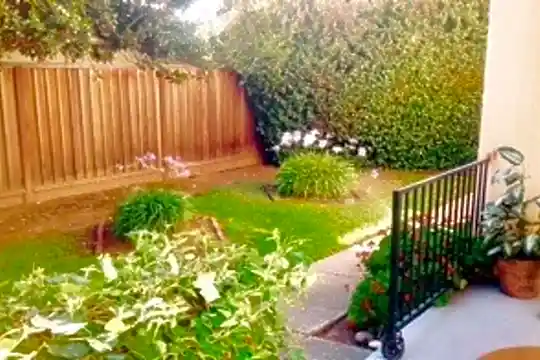 3158 Moorpark Ave unit Unit 3 - San Jose, CA - Photo 13