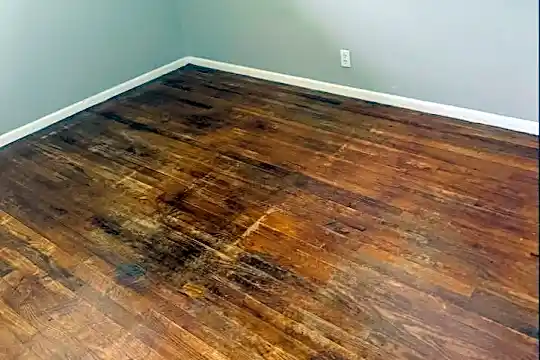 5619 Sanborn Dr - Saint Louis, MO - Photo 9