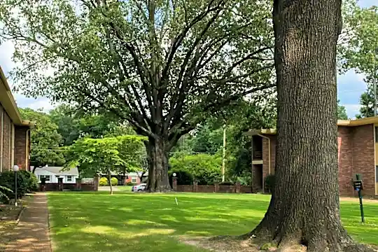 Allison Gardens Apartments - Memphis, TN - Photo 10