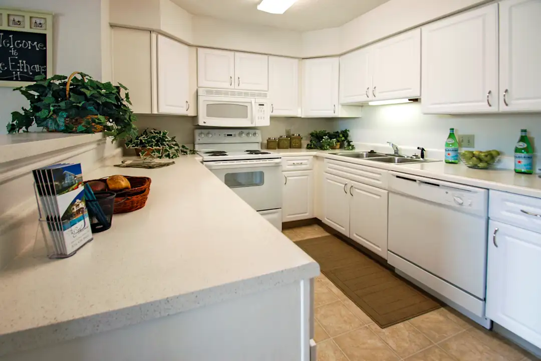 3D Tour