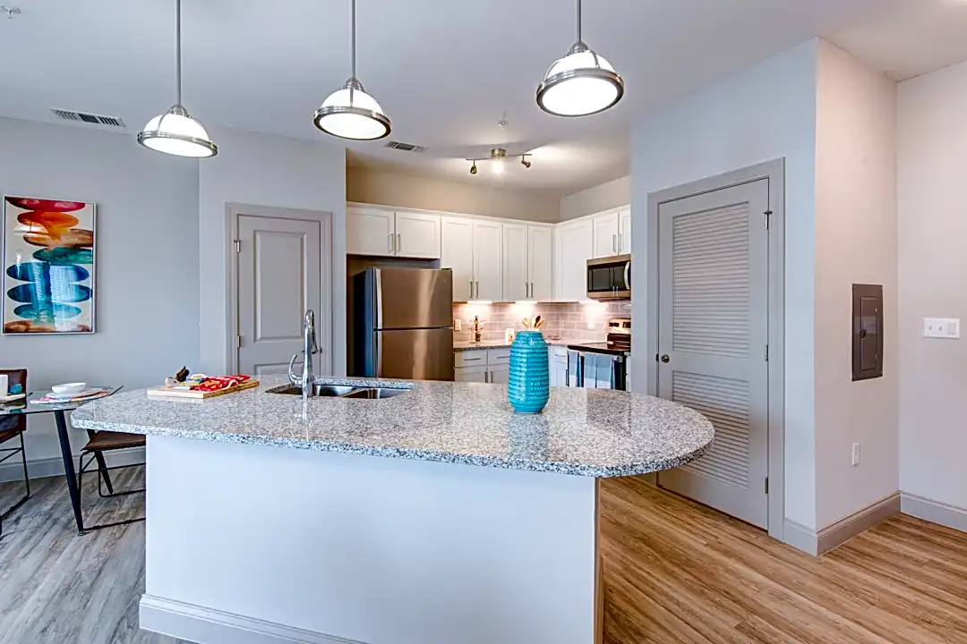 The Hamilton at Lakeside 2250 Blue Hesper Dr Kissimmee FL Apartments for Rent Rent