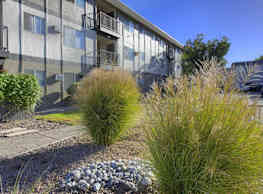 The Arbors Apartments Albuquerque Nm 87110