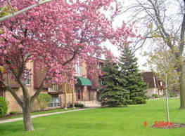 Pheasant Run Apartments Joliet Il 60433