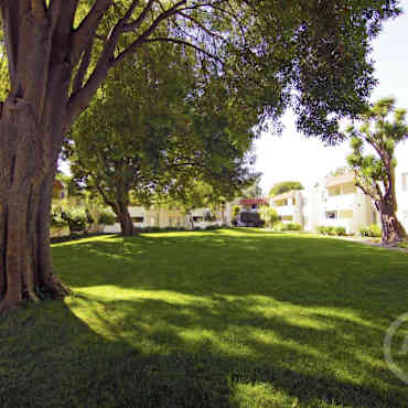 Glen Oaks Apartments Hayward Ca 94545