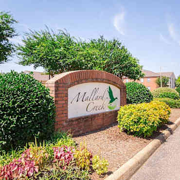 Mallard Creek Apartments Horn Lake Ms 38637