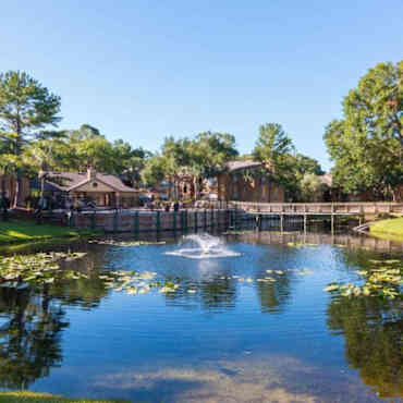 The Oasis At Wekiva Apartments Apopka Fl 32703