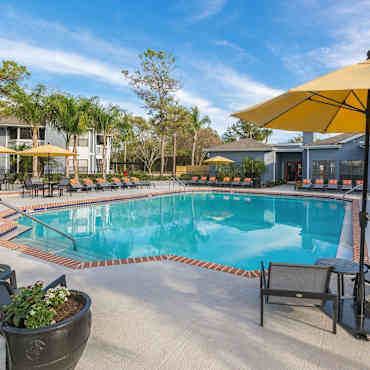 Northgreen At Carrollwood Apartments Tampa Fl 33624